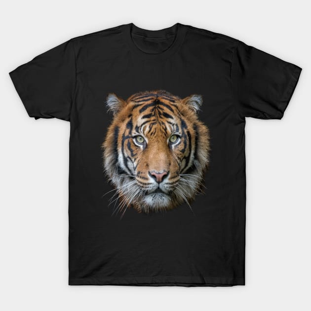 A Bengal Tiger cat wildlife T-Shirt by Just Kidding by Nadine May